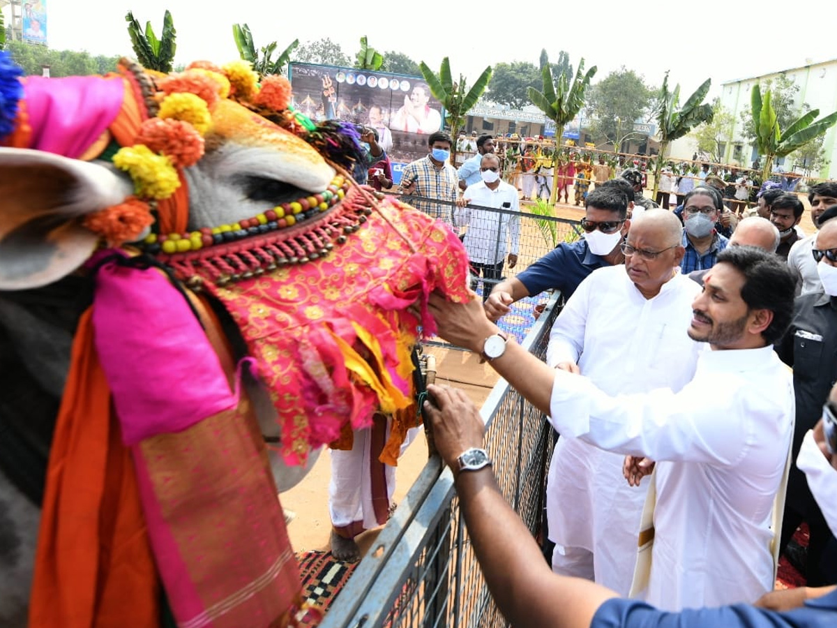 CM YS Jagan Participated In Go Puja At Narasaraopet - Sakshi6