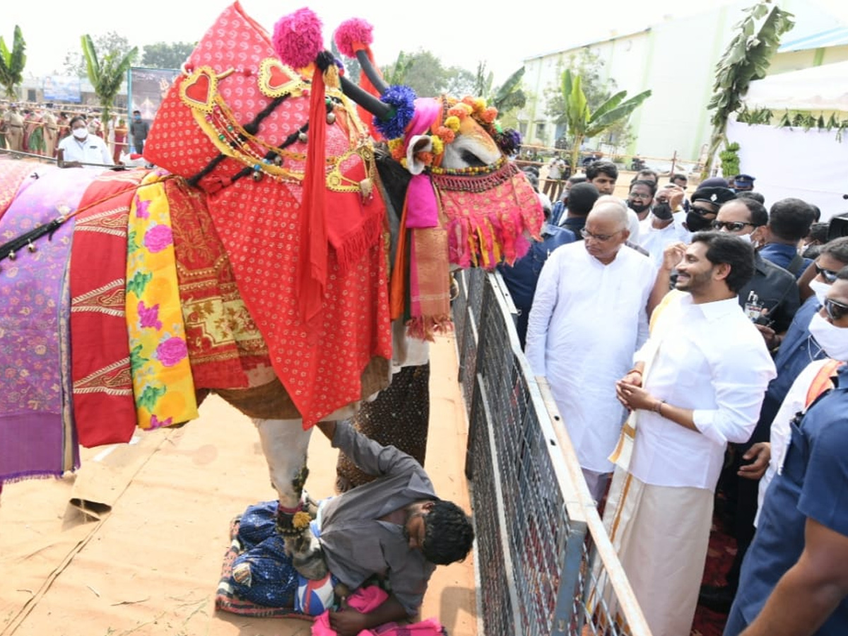 CM YS Jagan Participated In Go Puja At Narasaraopet - Sakshi7