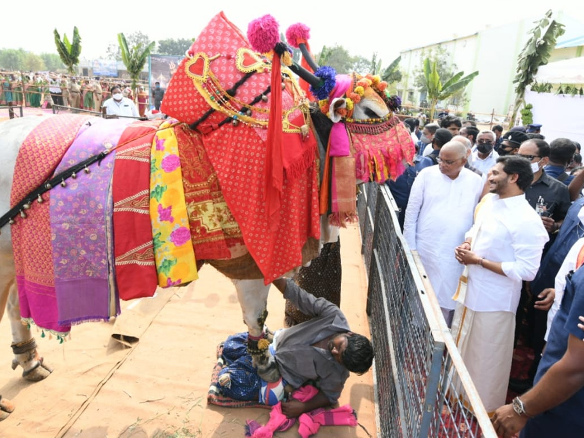 CM YS Jagan Participated In Go Puja At Narasaraopet - Sakshi8