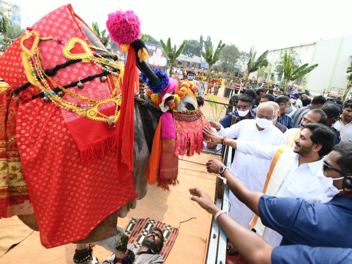 CM YS Jagan Participated In Go Puja At Narasaraopet - Sakshi9