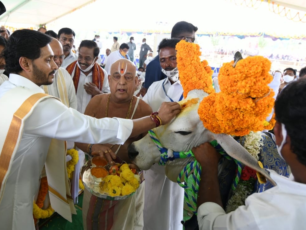 CM YS Jagan Participated In Go Puja At Narasaraopet - Sakshi28