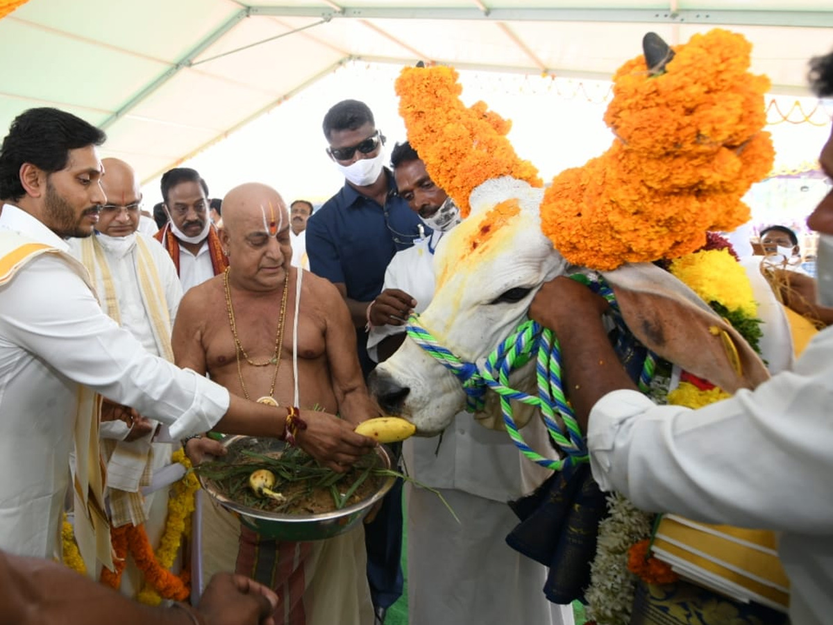 CM YS Jagan Participated In Go Puja At Narasaraopet - Sakshi31