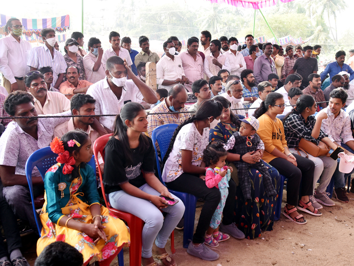 Cock Fighting Sankranti Festival Celebrations In Andhra Pradesh Photo Gallery - Sakshi11