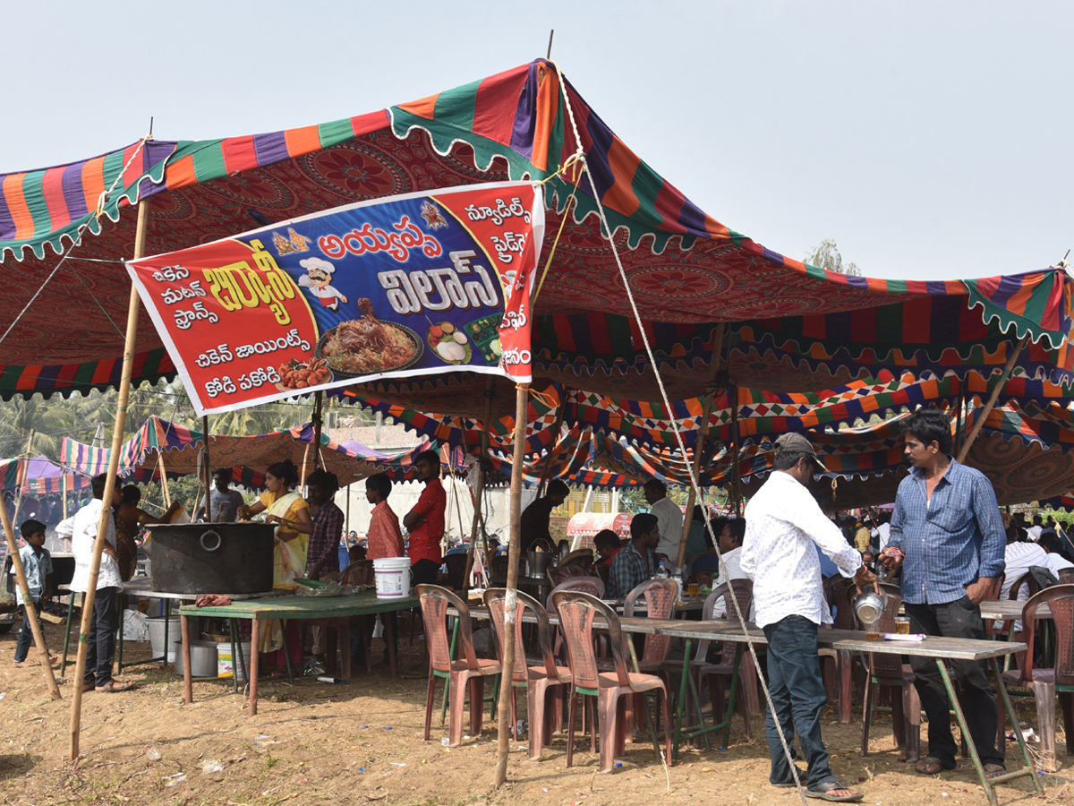 Cock Fighting Sankranti Festival Celebrations In Andhra Pradesh Photo Gallery - Sakshi12