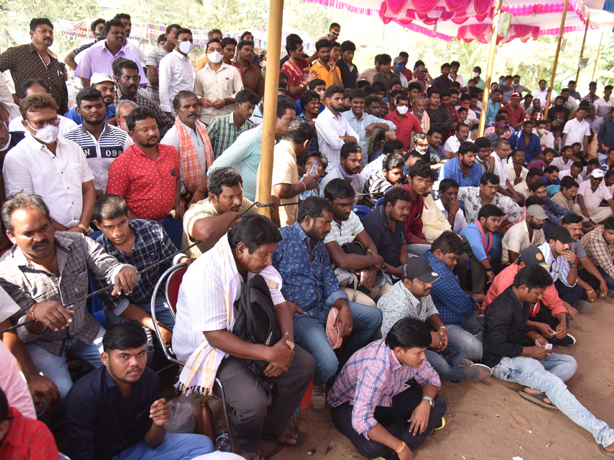 Cock Fighting Sankranti Festival Celebrations In Andhra Pradesh Photo Gallery - Sakshi8