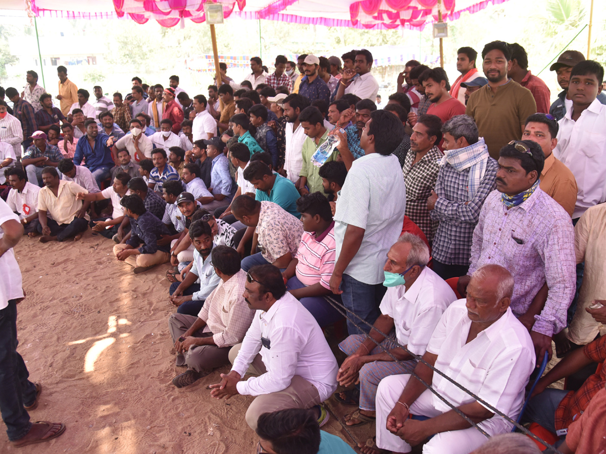 Cock Fighting Sankranti Festival Celebrations In Andhra Pradesh Photo Gallery - Sakshi10