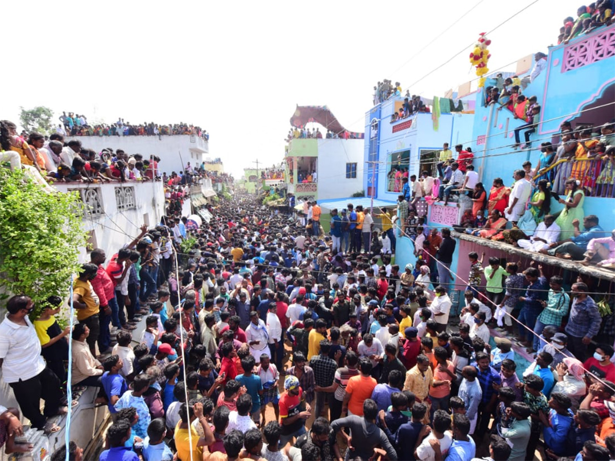 Jallikattu celebrated in Chittoor Photo Gallery - Sakshi27