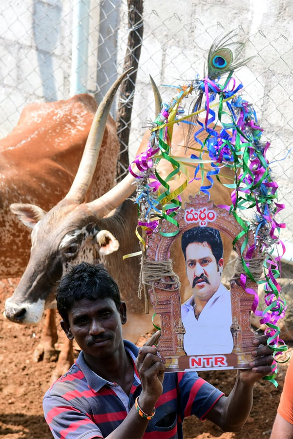 Jallikattu celebrated in Chittoor Photo Gallery - Sakshi50