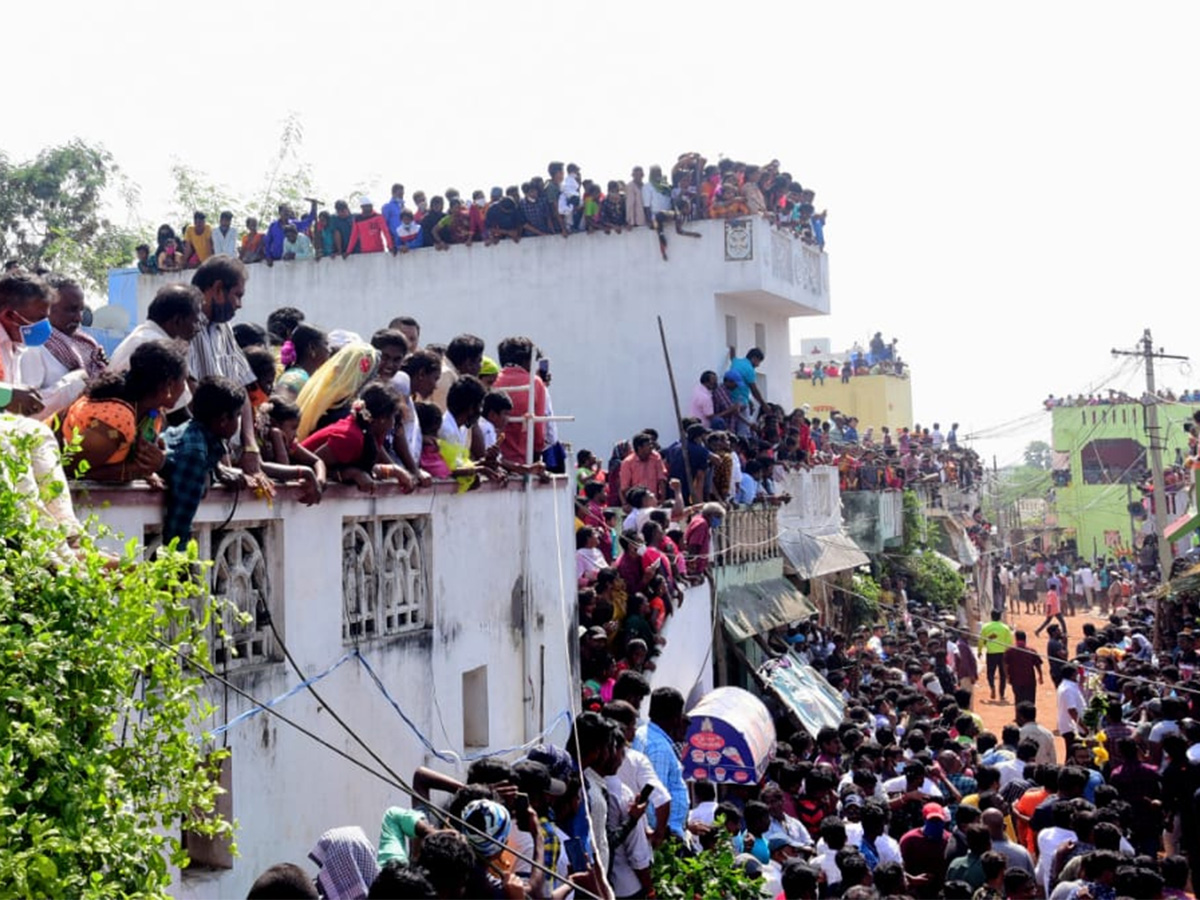 Jallikattu celebrated in Chittoor Photo Gallery - Sakshi9