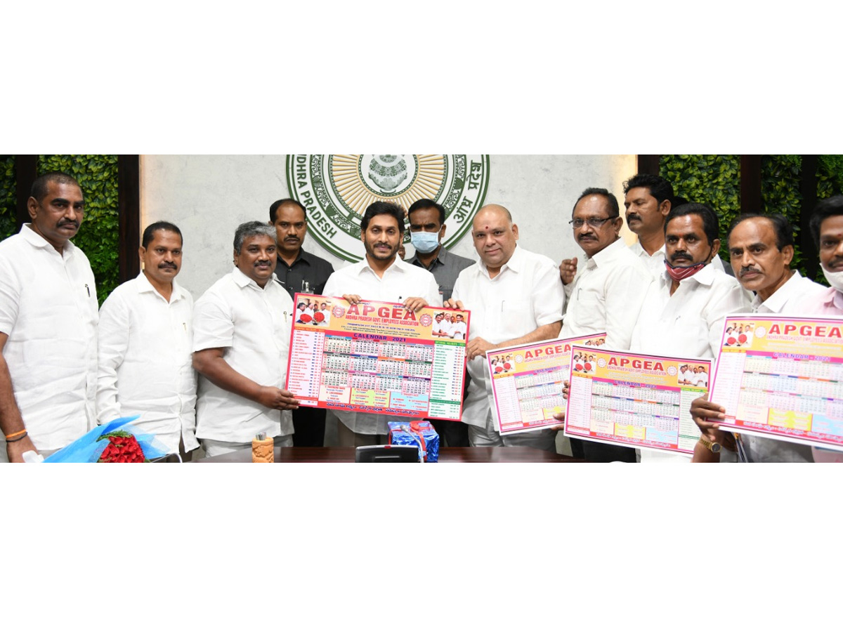 AP CM releases 2021 Diaries Photo Gallery - Sakshi5