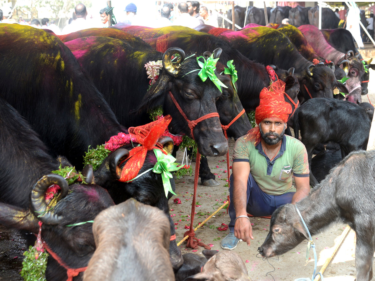 Animal Fest Pashu Sankranthi in Narsingi at Hyderabad - Sakshi13