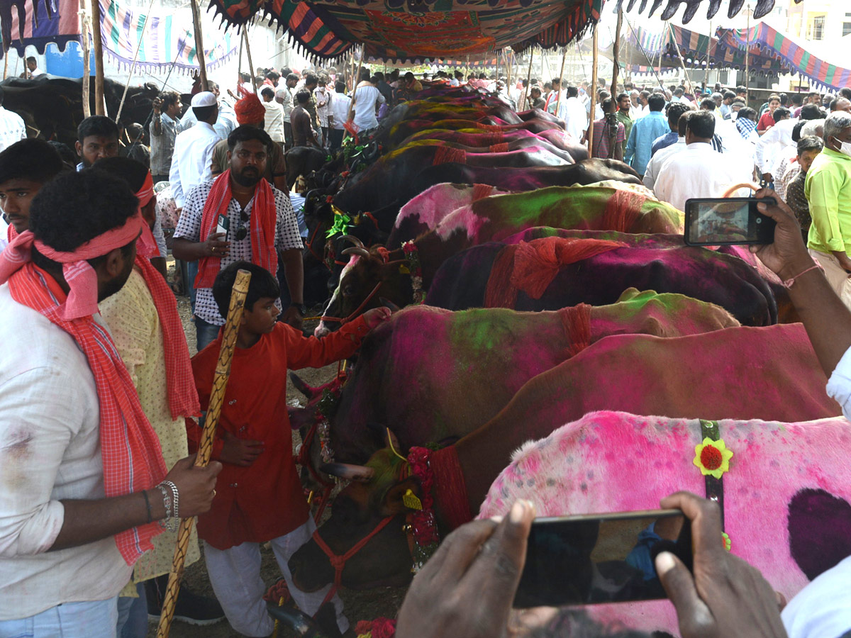 Animal Fest Pashu Sankranthi in Narsingi at Hyderabad - Sakshi4