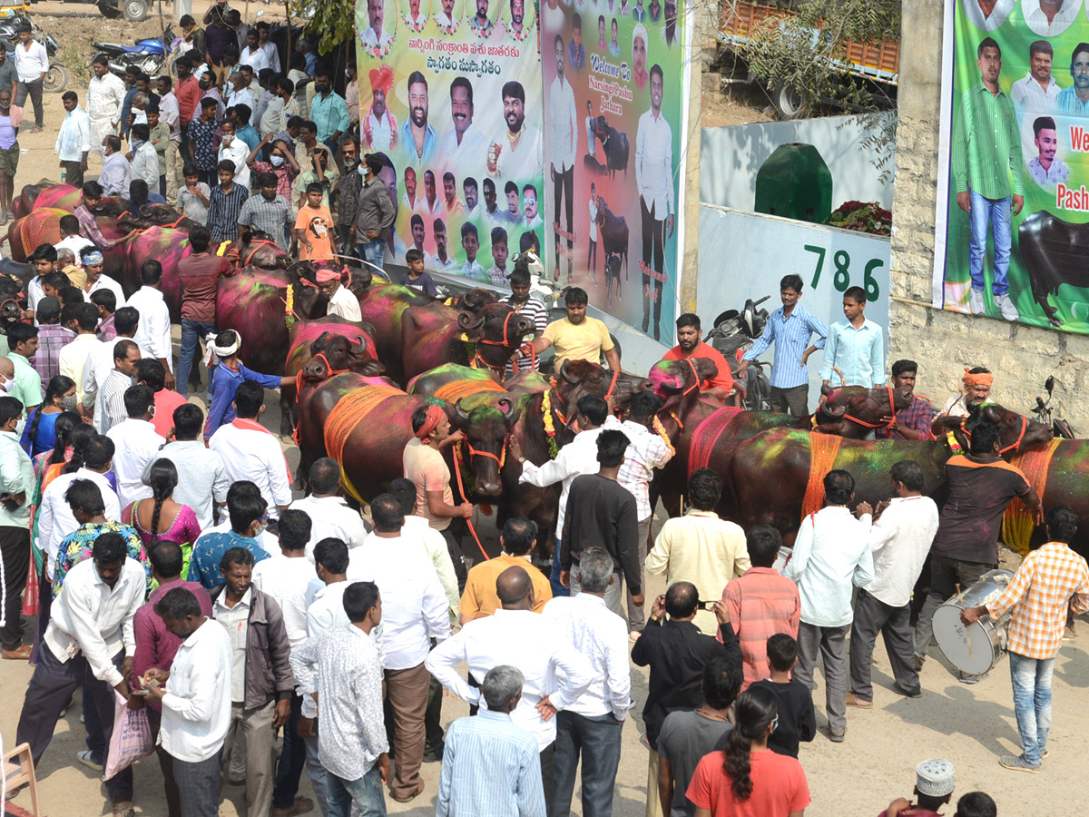 Animal Fest Pashu Sankranthi in Narsingi at Hyderabad - Sakshi5