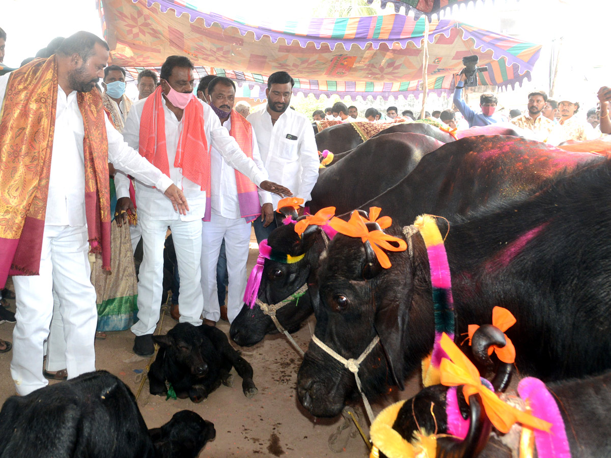 Animal Fest Pashu Sankranthi in Narsingi at Hyderabad - Sakshi6