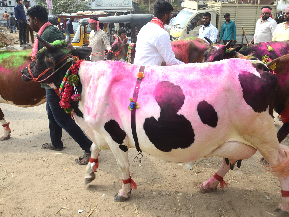 Animal Fest Pashu Sankranthi in Narsingi at Hyderabad - Sakshi8