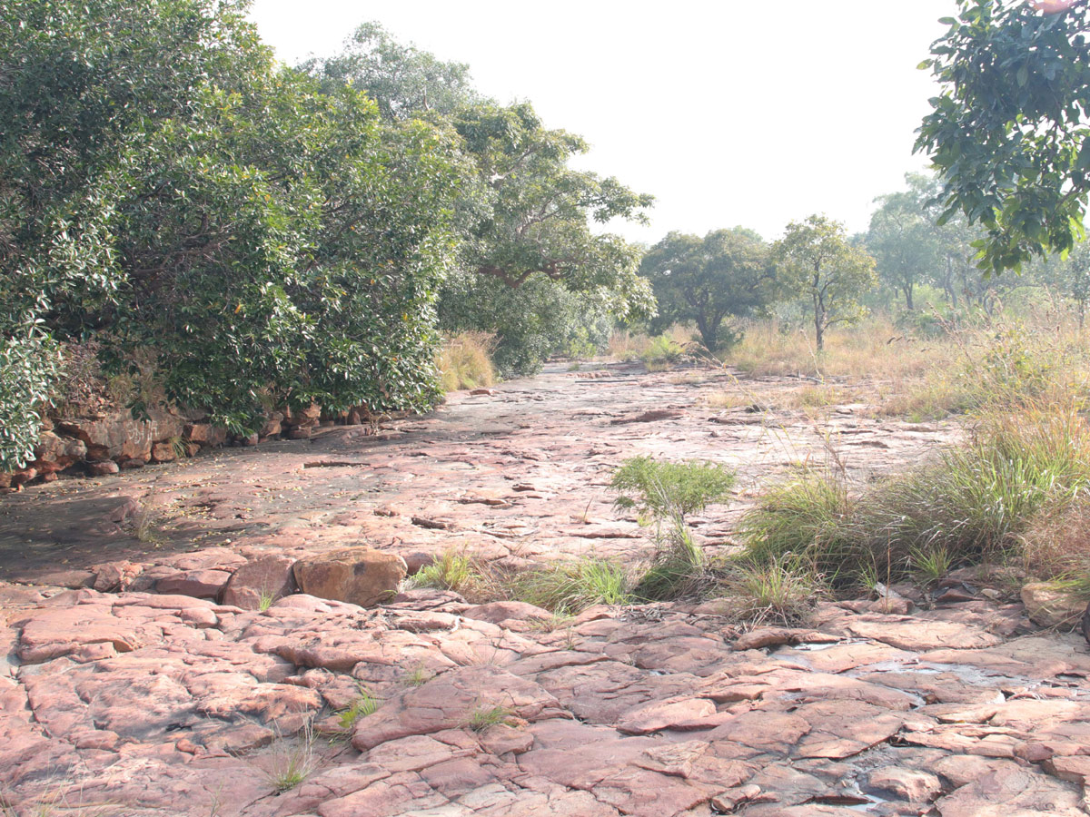 Ramakrishna Theertham Near Tirupati Photo Gallery - Sakshi14