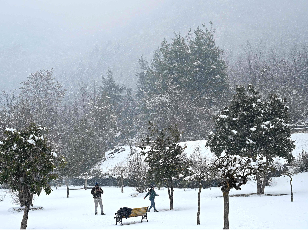 Gulmarg turns white as Kashmir receives fresh snowfall photo gallery - Sakshi8