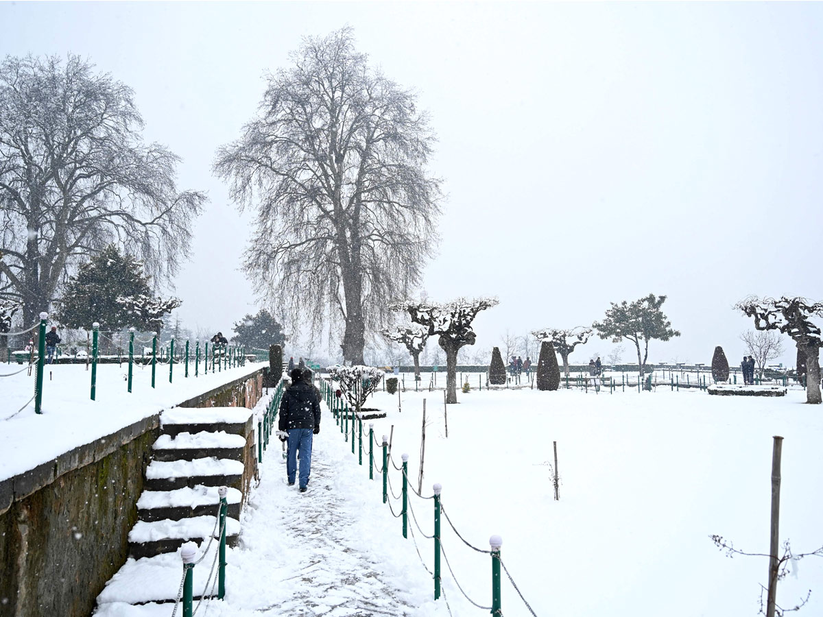 Gulmarg turns white as Kashmir receives fresh snowfall photo gallery - Sakshi9