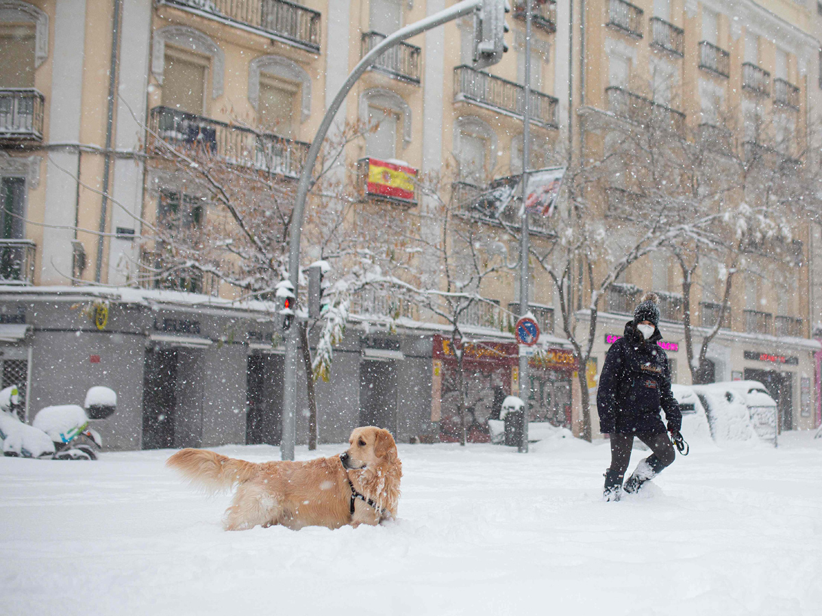 Storm Filomena causes Rare Heavy snow in Spain Photo Gallery - Sakshi15