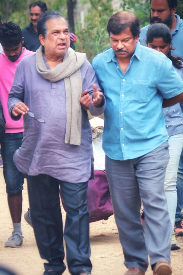 Tollywood Celebs, Fans Flood Twitter With Birthday Wishes For Brahmanandam - Sakshi15