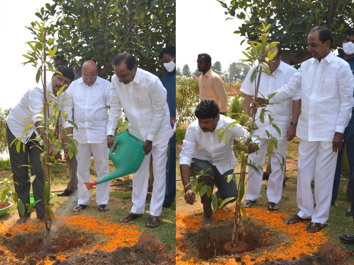 CM KCR  Birthday Highlights Of One Crore Tree Plantation Programme Photos - Sakshi1