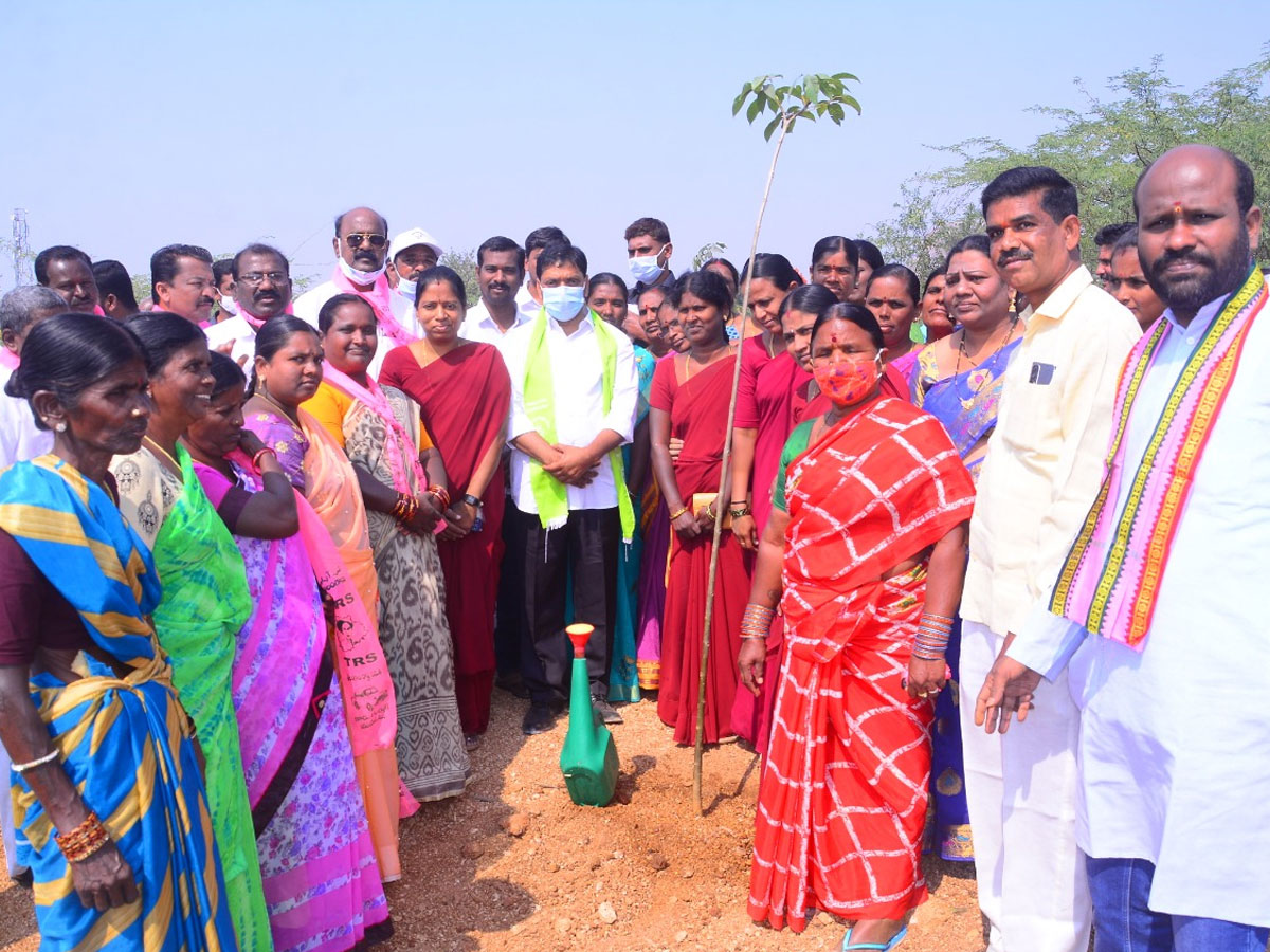 CM KCR  Birthday Highlights Of One Crore Tree Plantation Programme Photos - Sakshi12