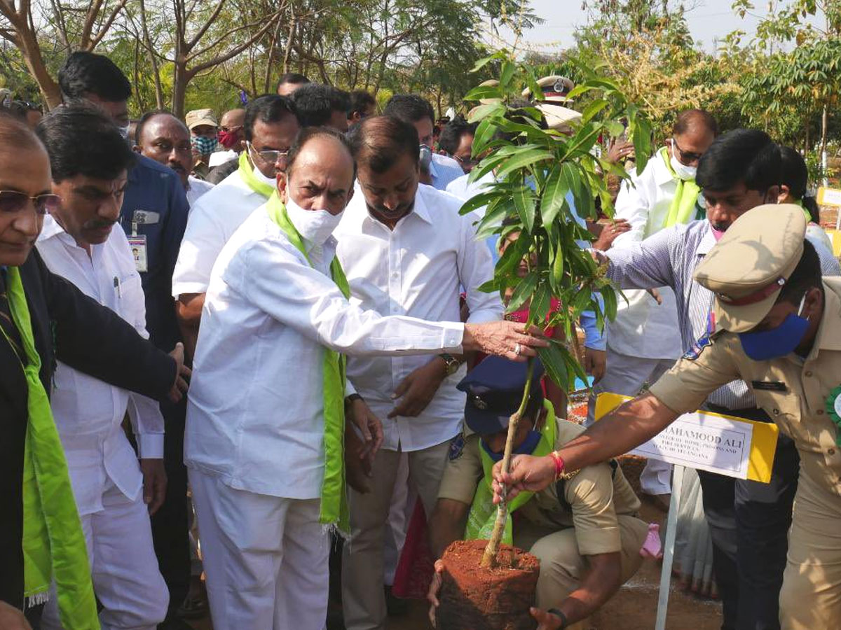 CM KCR  Birthday Highlights Of One Crore Tree Plantation Programme Photos - Sakshi14