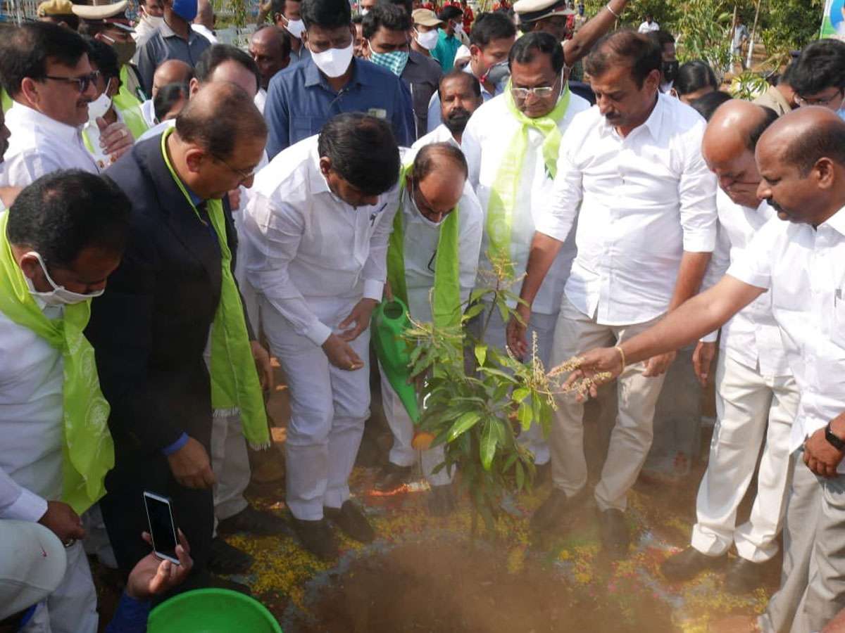 CM KCR  Birthday Highlights Of One Crore Tree Plantation Programme Photos - Sakshi16