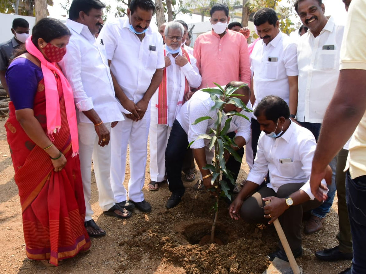 CM KCR  Birthday Highlights Of One Crore Tree Plantation Programme Photos - Sakshi19