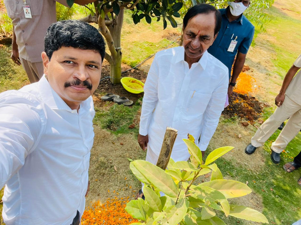 CM KCR  Birthday Highlights Of One Crore Tree Plantation Programme Photos - Sakshi2