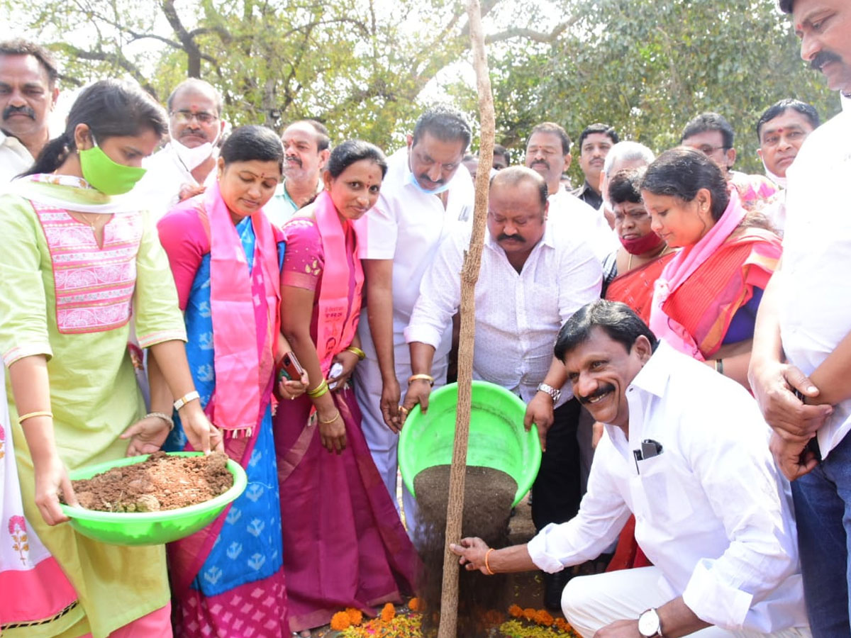 CM KCR  Birthday Highlights Of One Crore Tree Plantation Programme Photos - Sakshi20