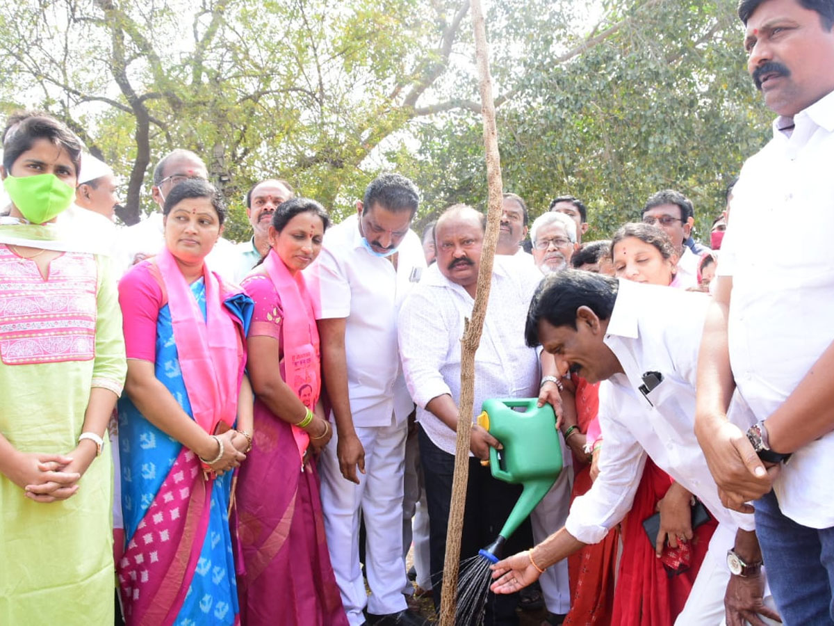 CM KCR  Birthday Highlights Of One Crore Tree Plantation Programme Photos - Sakshi21