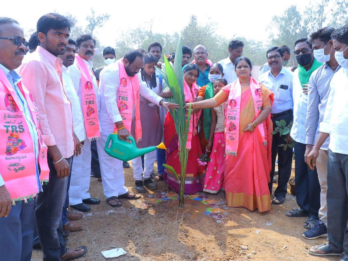 CM KCR  Birthday Highlights Of One Crore Tree Plantation Programme Photos - Sakshi26