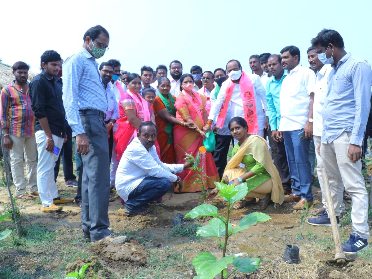 CM KCR  Birthday Highlights Of One Crore Tree Plantation Programme Photos - Sakshi29