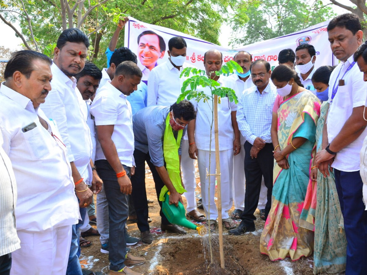 CM KCR  Birthday Highlights Of One Crore Tree Plantation Programme Photos - Sakshi31