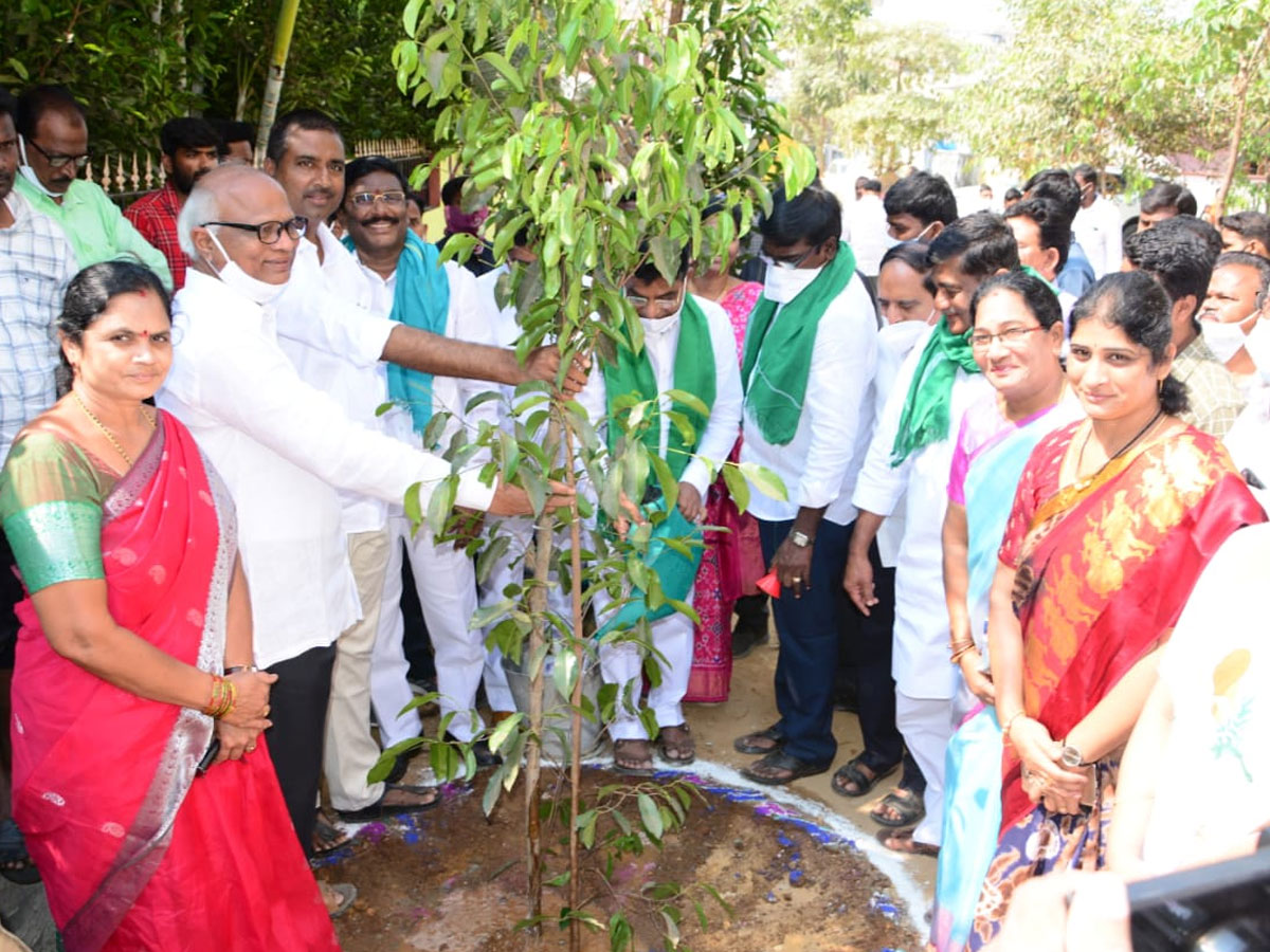 CM KCR  Birthday Highlights Of One Crore Tree Plantation Programme Photos - Sakshi34