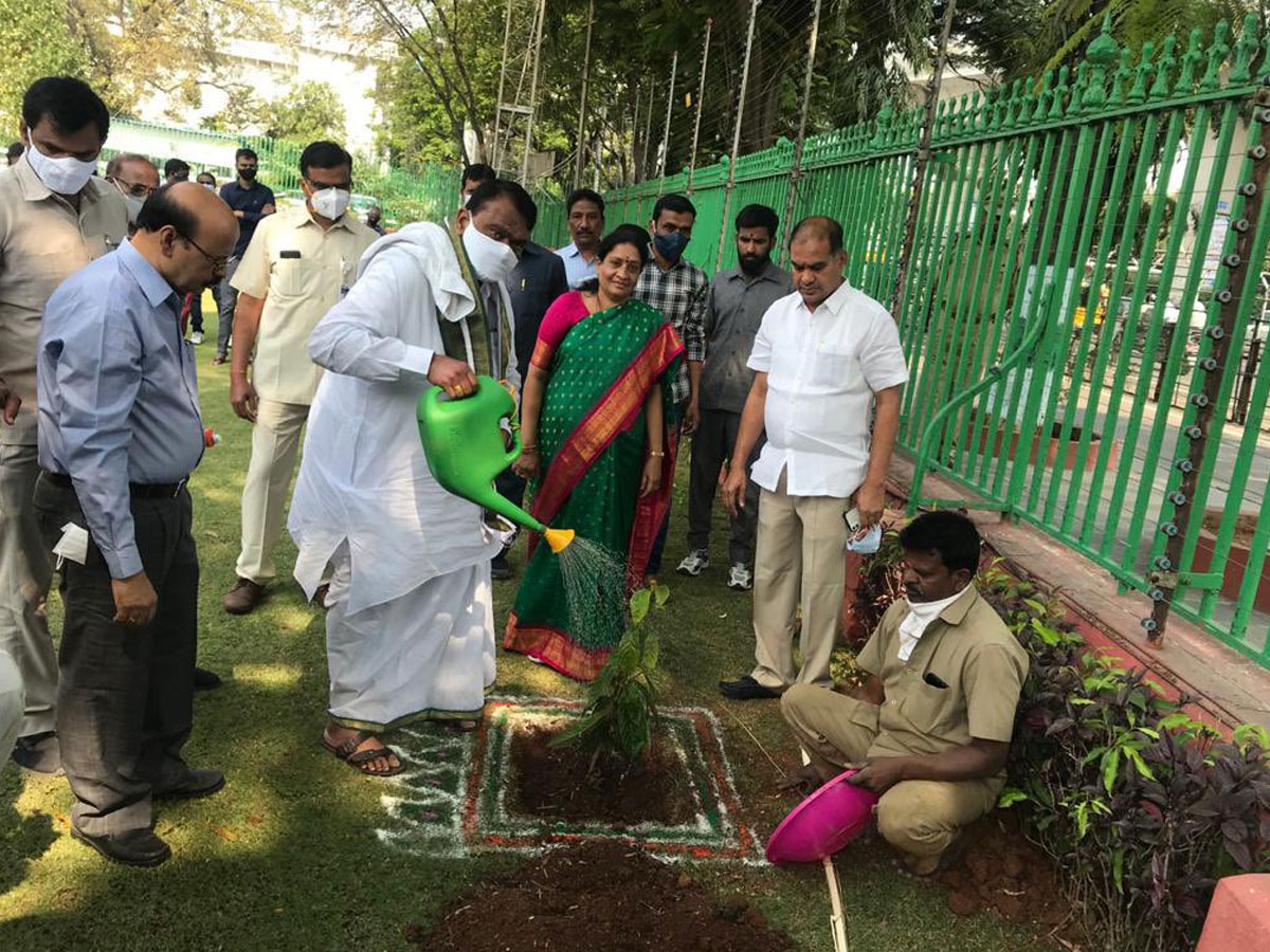 CM KCR  Birthday Highlights Of One Crore Tree Plantation Programme Photos - Sakshi35