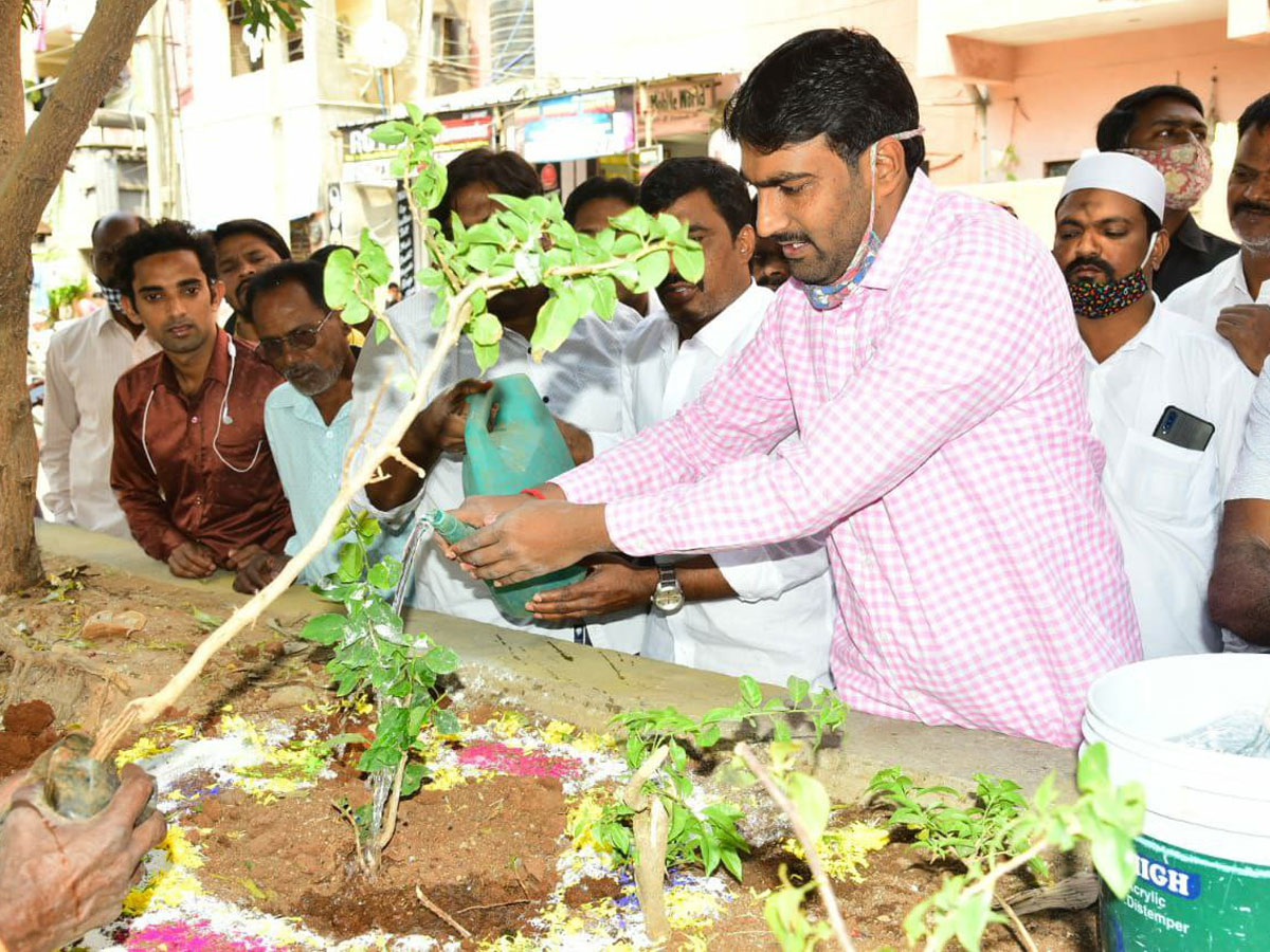 CM KCR  Birthday Highlights Of One Crore Tree Plantation Programme Photos - Sakshi37