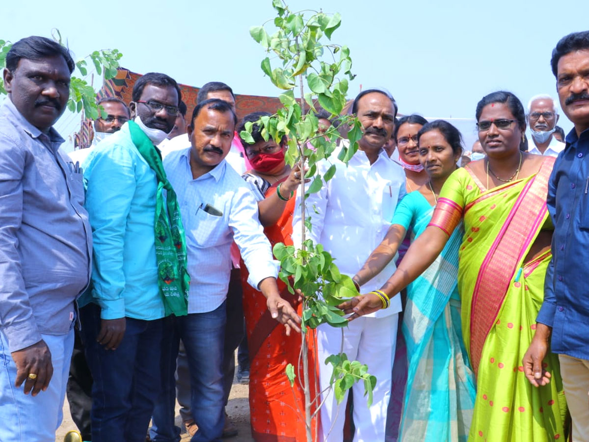 CM KCR  Birthday Highlights Of One Crore Tree Plantation Programme Photos - Sakshi40