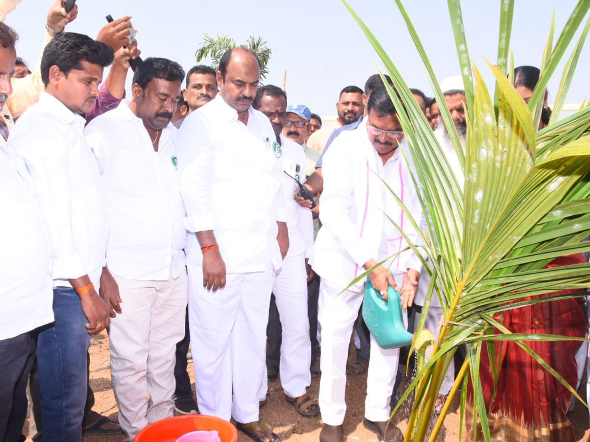 CM KCR  Birthday Highlights Of One Crore Tree Plantation Programme Photos - Sakshi38