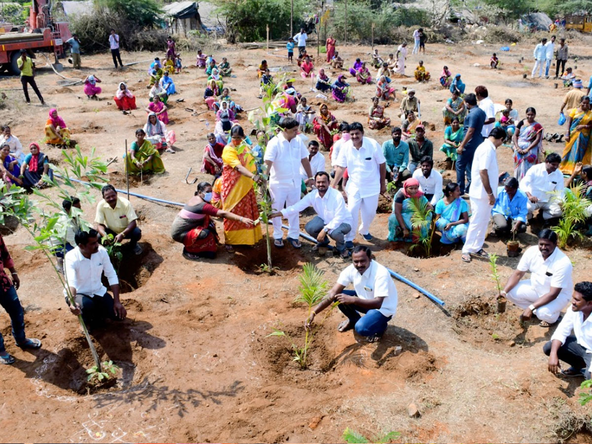 CM KCR  Birthday Highlights Of One Crore Tree Plantation Programme Photos - Sakshi39