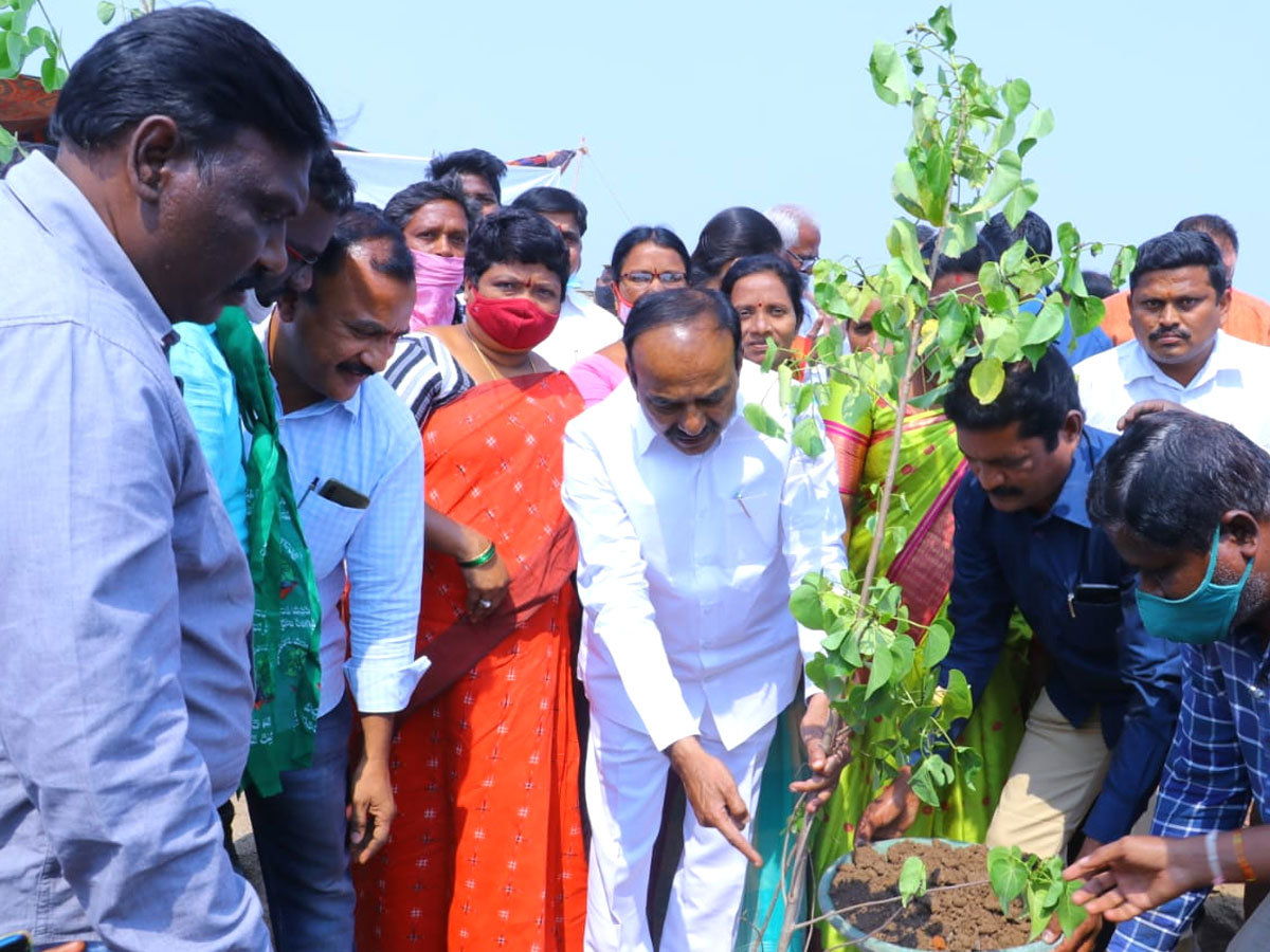 CM KCR  Birthday Highlights Of One Crore Tree Plantation Programme Photos - Sakshi41