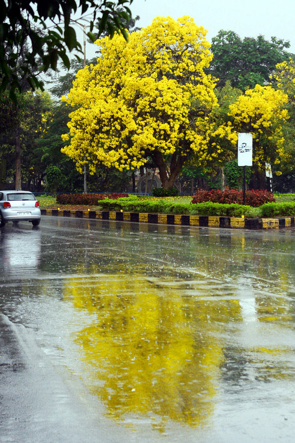 Heavy Rain In Hyderabad Photo Gallery - Sakshi17