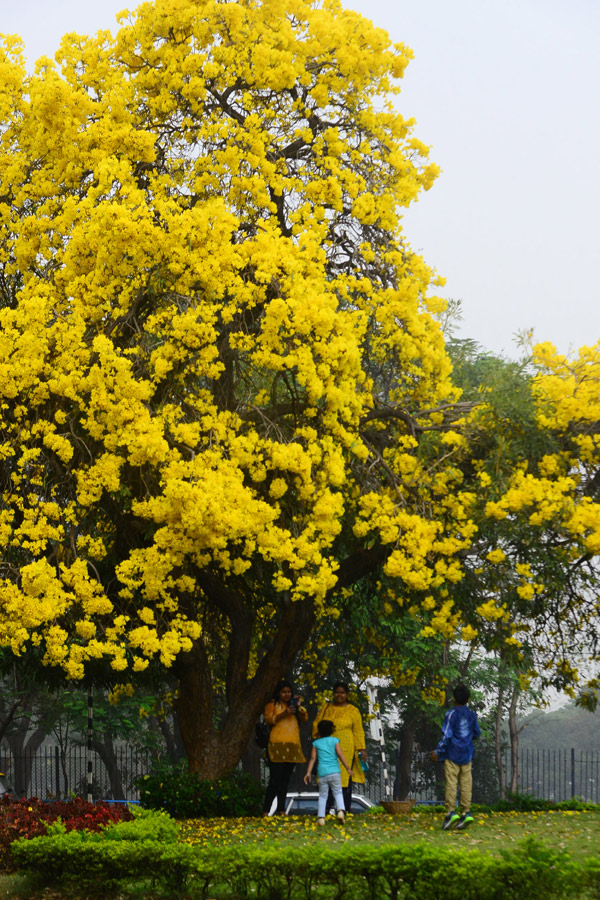 Heavy Rain In Hyderabad Photo Gallery - Sakshi18