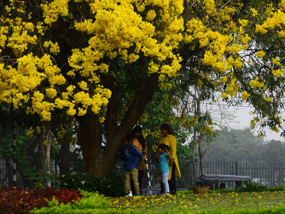 Heavy Rain In Hyderabad Photo Gallery - Sakshi5