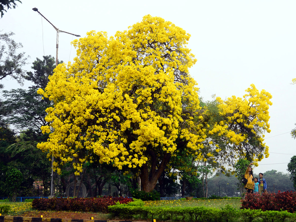 Heavy Rain In Hyderabad Photo Gallery - Sakshi8