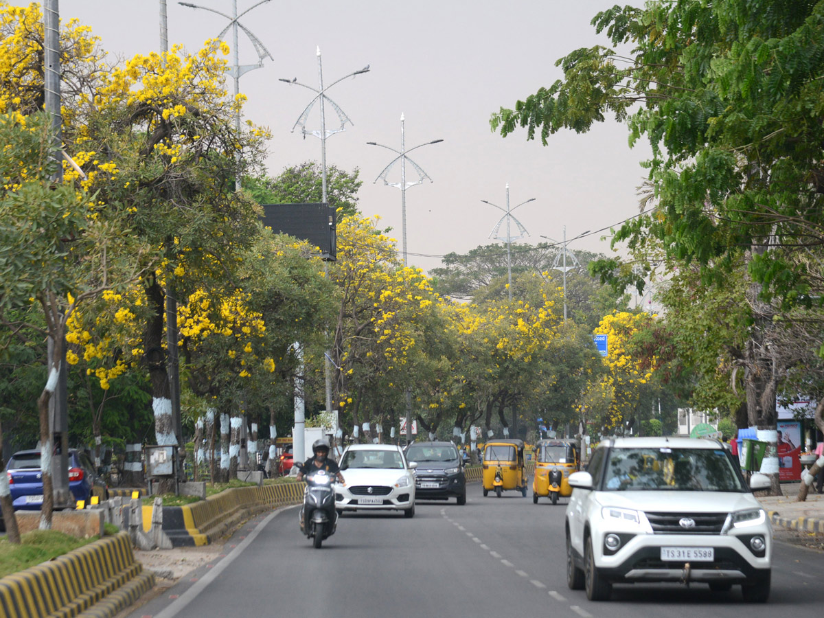 Heavy Rain In Hyderabad Photo Gallery - Sakshi9