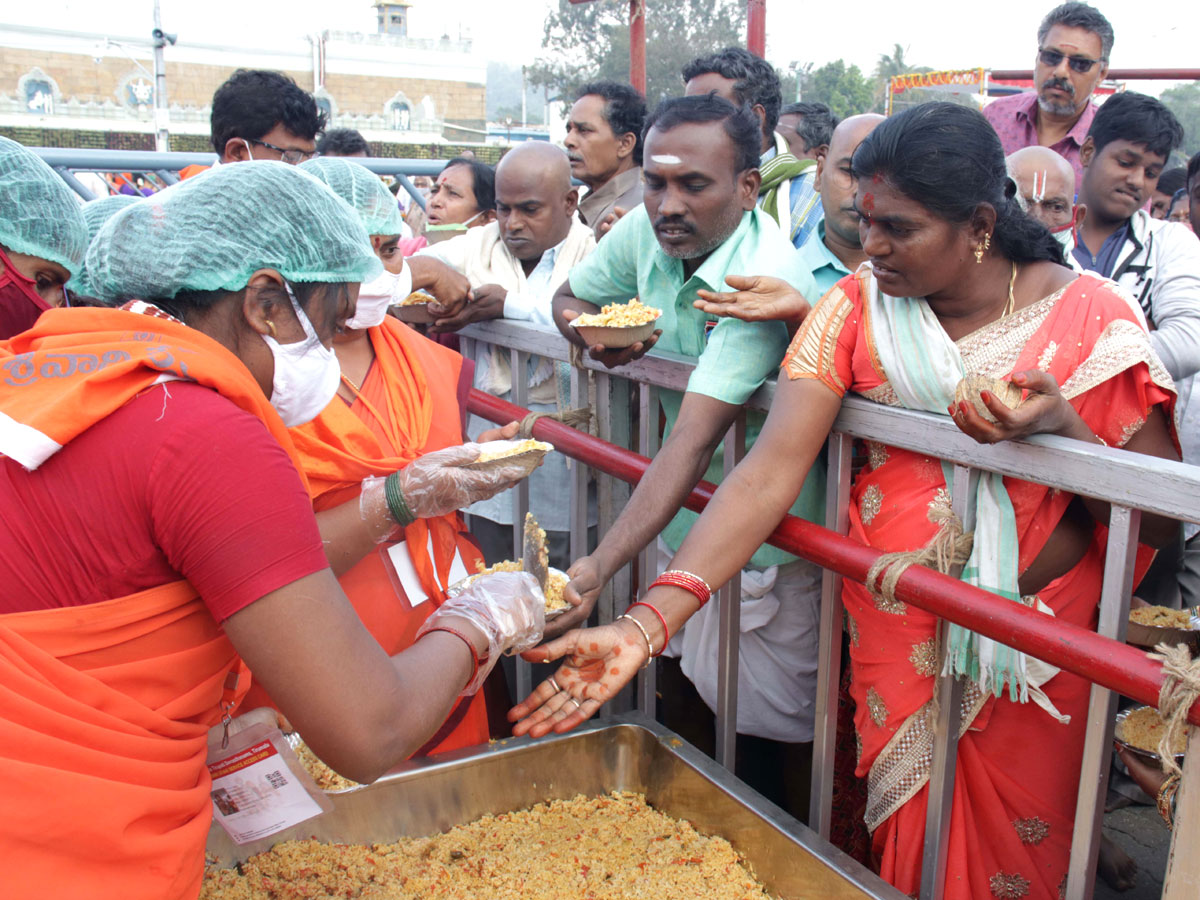 Ratha Saptami Celebrations In Tirumala Photos - Sakshi13