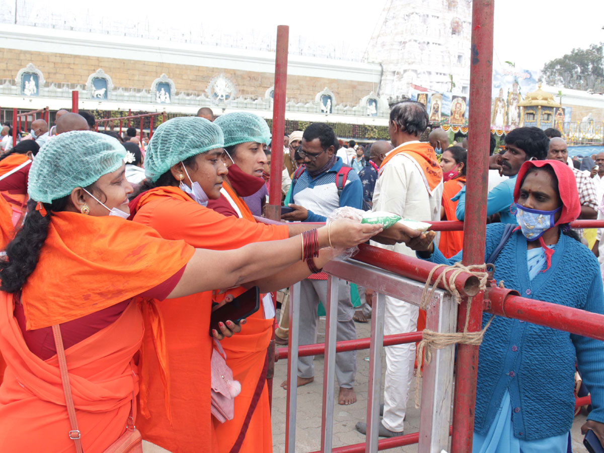 Ratha Saptami Celebrations In Tirumala Photos - Sakshi16