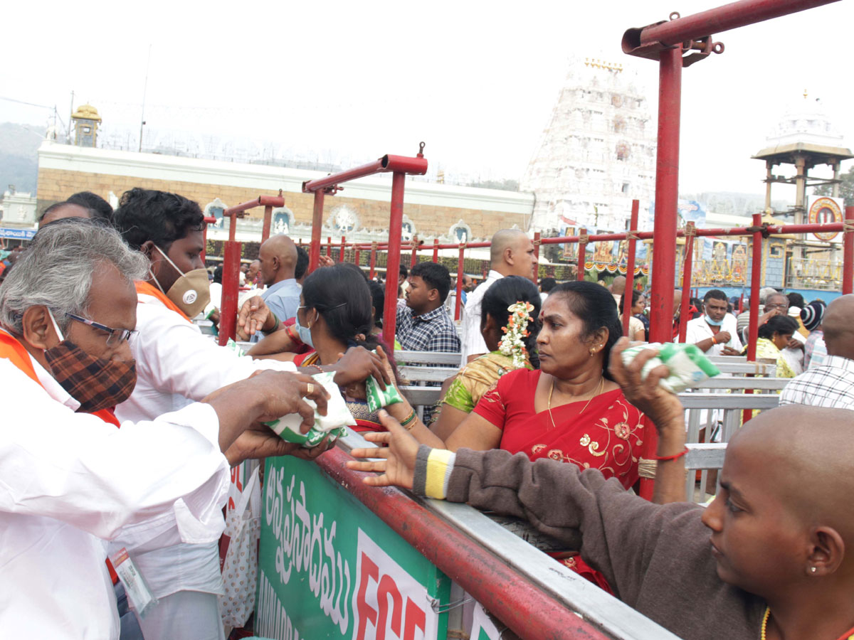 Ratha Saptami Celebrations In Tirumala Photos - Sakshi17